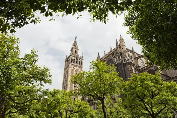 Sevilla kathedraal en de Giralda uitzicht vanuit de tuin van de O — Stockfoto