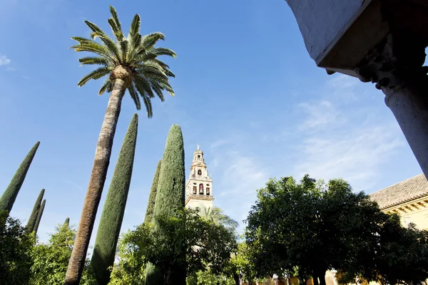 Torre del Alminar of the Mezquita in Cordoba — Stock Photo, Image