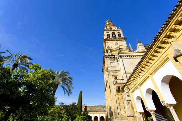 Torre del Alminar of the Mezquita in Cordoba — Stock Photo, Image