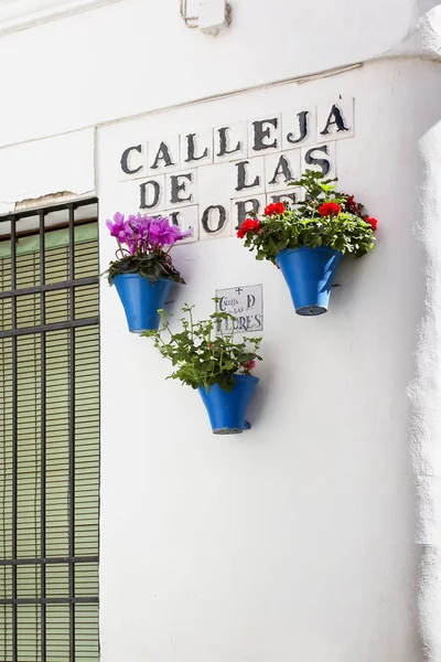 Flores em vaso nas paredes brancas na famosa rua Flower — Fotografia de Stock