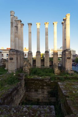 Cordoba Tapınağı Roma sütunları