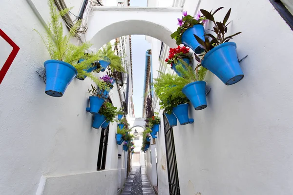Blommor i blomkruka på de vita väggarna på berömda Flower street — Stockfoto