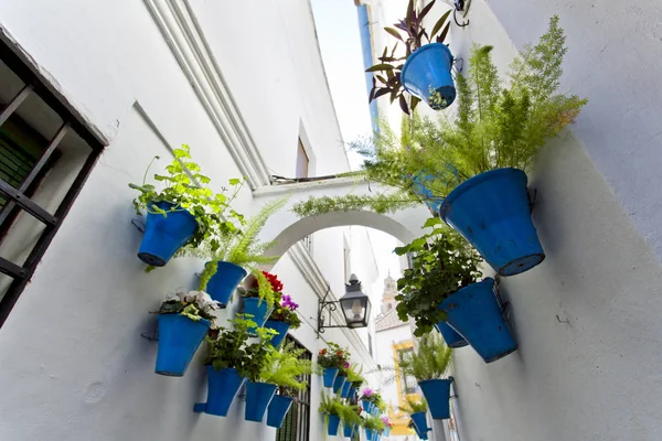 Blommor i blomkruka på de vita väggarna på berömda Flower street — Stockfoto