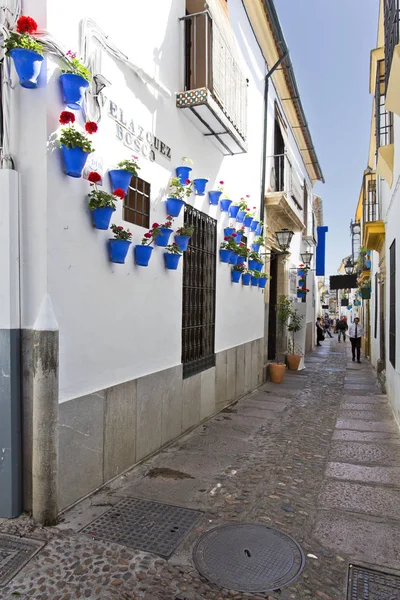 Vackra vita väggar dekorerade med färgglada blommor i Córdoba — Stockfoto