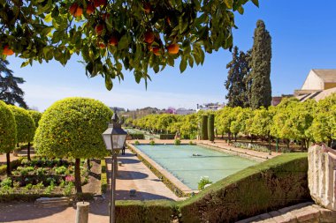 Ünlü Alcazar de los Cristianos Reyes ile güzel Bahçe