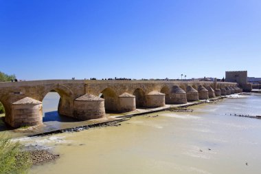 Roma köprüsü ve Guadalquivir Nehri, Ulu Cami, Cordoba, Anda