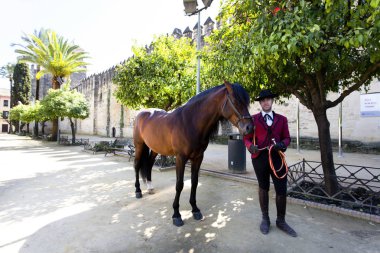 Alcazar de los Cristianos Cordoba Reyes,