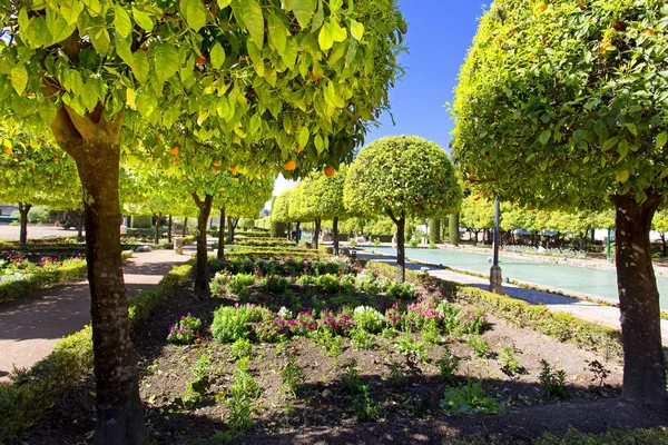 Знаменитый Алькасар де лос Рейес Кристианос с прекрасным садом — стоковое фото
