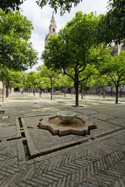 Sevilla Katedrali ve o bahçeden Giralda sayısı