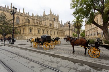 Sevilla 'daki Saint Mary Katedrali.