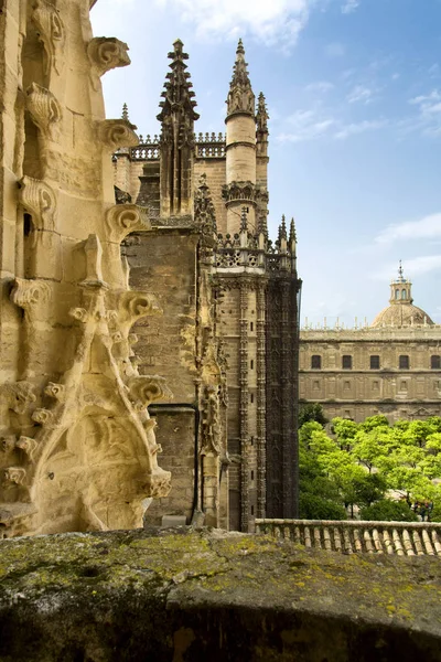 Detalj av Sevillas katedral, Saint Mary av se, i Sevilla, — Stockfoto
