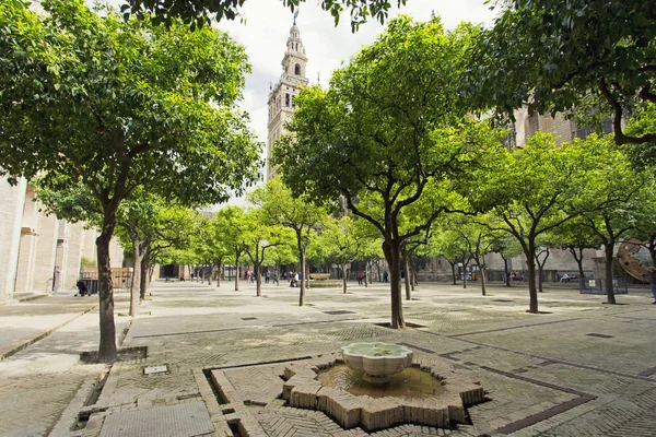 Catedral de Sevilha e a vista Giralda do jardim do O — Fotografia de Stock