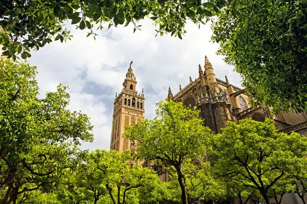 Sevilla kathedraal en de Giralda uitzicht vanuit de tuin van de O — Stockfoto