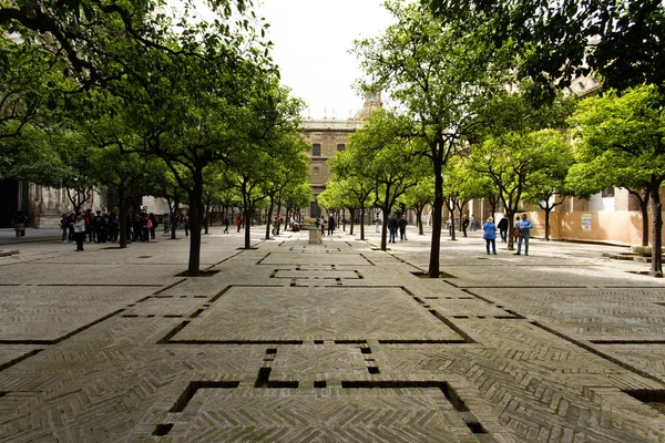 Sevilla Katedrali ve o bahçeden Giralda sayısı