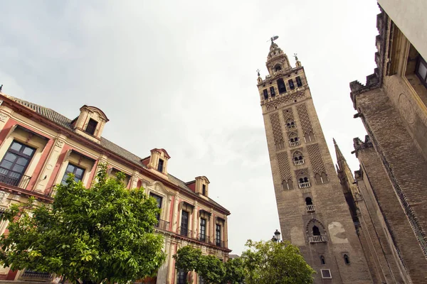 La Catedral de Sevilla con vistas a la Giralda desde Piazza Virg — Foto de Stock