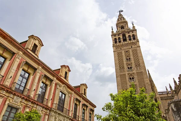 The Cathedral of Seville with the Giralda views from Piazza Virg — Stock Photo, Image
