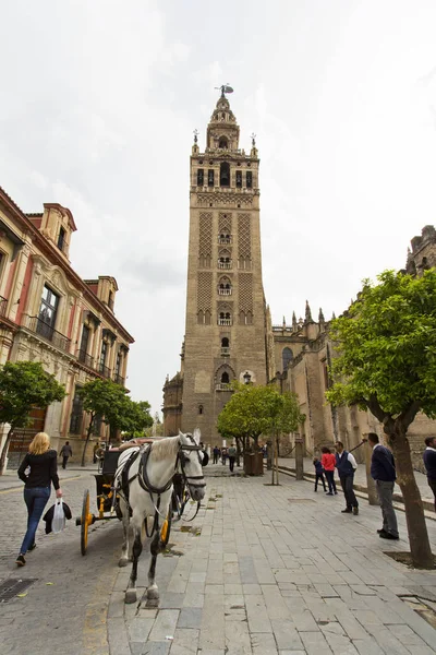 The Cathedral of Seville with the Giralda views from Piazza Virg — Stock Photo, Image