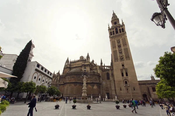 The Cathedral of Seville with the Giralda views from Piazza Virg — Stock Photo, Image