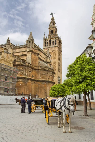 The Cathedral of Seville with the Giralda views from Piazza Virg — Stock Photo, Image