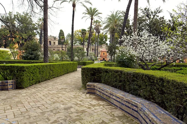 Real Alcazar, Sevilla, Andalúzia — Stock Fotó