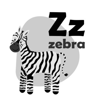 Abc Alfabe çizimi. Vektör şirin çocuklar hayvan alfabesi. Z harfi. Tatlı çizgi film zebrası..