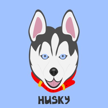 Renkli bir arka planda köpek yüzü. Husky cinsi. Düz resim. Pop sanatının tarzında bir resim..