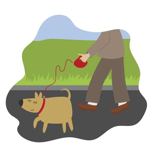 Homme Costume Marcheur Avec Chien Dans Parc Chien Laisse Illustration — Image vectorielle