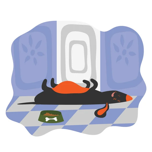 Dog Has Overeat Sleeps Floor Room Dog Big Belly Flat — Stock Vector