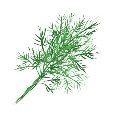 Dill. Sebzeler. Doğal besin ve sağlıklı beslenme. Beyaz arkaplanda düz vektör çizimi.