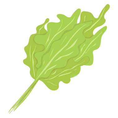 Sorrel. Sebzeler. Doğal besin ve sağlıklı beslenme. Beyaz arkaplanda düz vektör çizimi.