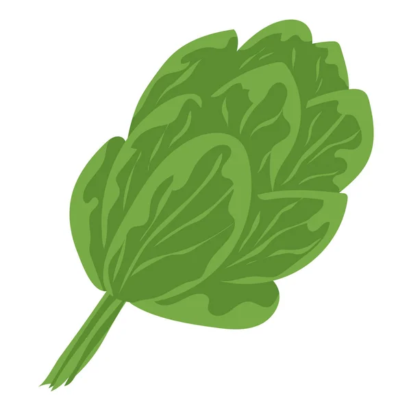 Spinach Vegetables Natural Food Healthy Nutrition Flat Vector Illustration White — 스톡 벡터