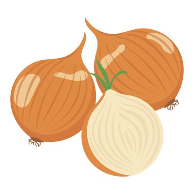 Soğan. Sebzeler. Doğal besin ve sağlıklı beslenme. Beyaz arkaplanda düz vektör çizimi.