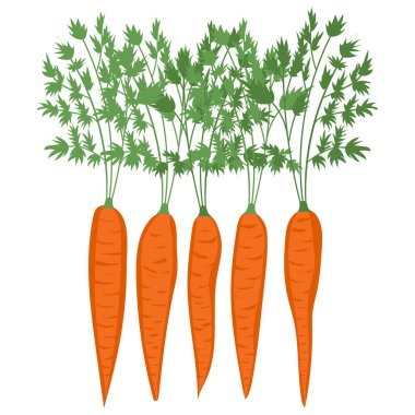 Havuç. Sebzeler. Doğal yiyecekler ve sağlıklı yiyecekler. Düz vektör çizimi beyaz arkaplanda izole edildi.