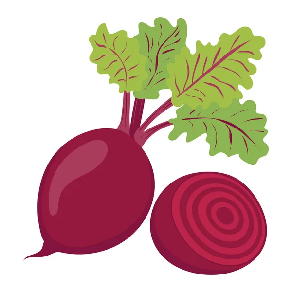 Beet Vegetables Natural Food Healthy Eating Flat Vector Illustration Isolated — Stock Vector