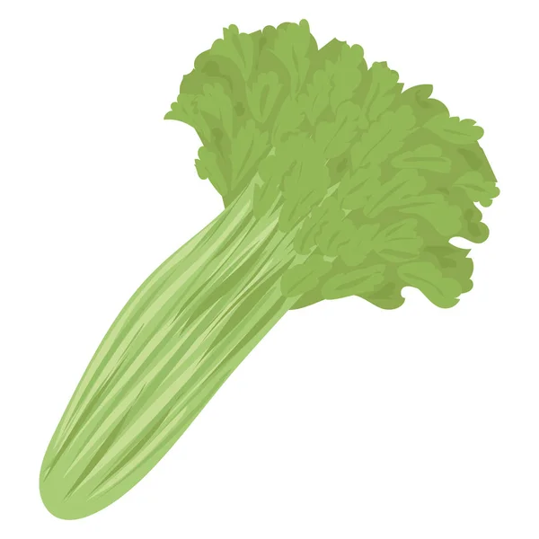 Apio Verduras Comida Natural Alimentación Saludable Ilustración Vectorial Plana Aislada — Vector de stock