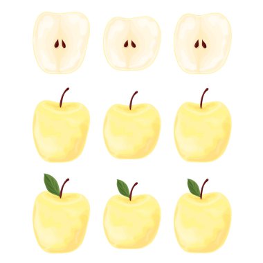 Sarı elma seti. Elmalar bir bütün ve ikiye bölünmüş. Beyaz arkaplanda izole edilmiş vektör illüstrasyonu.