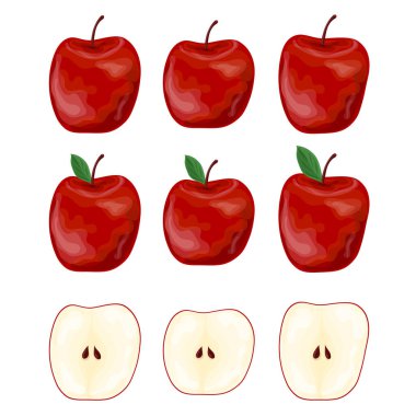 Bir çift kırmızı elma. Elmalar bir bütün ve ikiye bölünmüş. Beyaz arkaplanda izole edilmiş vektör illüstrasyonu.