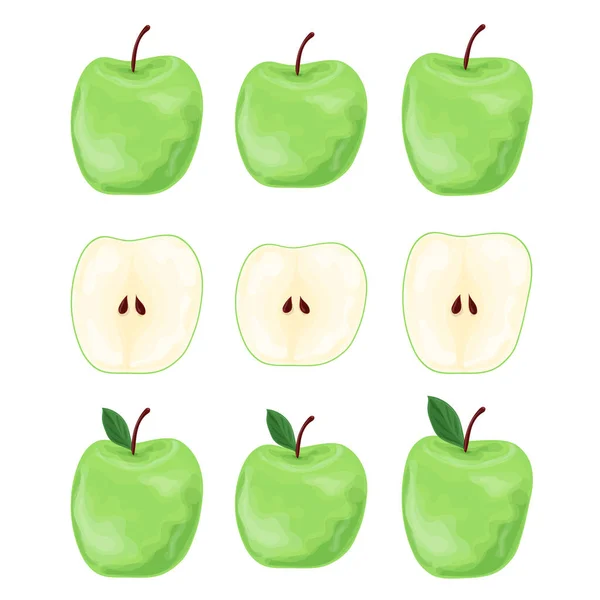 Een Set Groene Appels Appels Heel Tweeën Gesneden Vector Illustratie — Stockvector