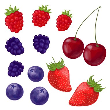 Suluboya şeklinde boyanmış böğürtlen seti. Çilek, kiraz, ahududu, böğürtlen, yabanmersini. Beyaz arkaplanda izole vektör çizimi.