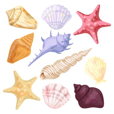 Deniz kabukları ve deniz yıldızları. Suluboya taklidi. Beyaz arkaplanda on izole vektör çizimi kümesi.