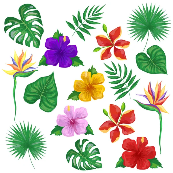 Conjunto Flores Hojas Tropicales Ilustración Vectorial Aislada Sobre Fondo Blanco — Vector de stock