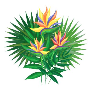 Egzotik çiçek ve yapraklardan oluşan bir buket. Tasarım için tropik elementler. Beyaz arkaplanda izole vektör çizimi.