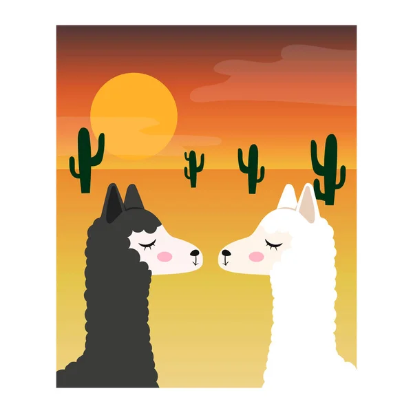 Two Llamas Love Kiss Sunset Desert Big Cacti Vector Illustration — Stock Vector