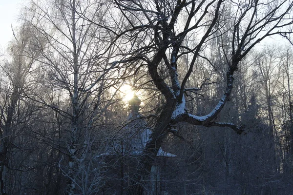 Winter Zonsondergang Moskou Regio — Stockfoto