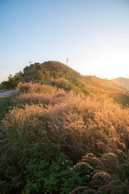 Doi Chang 'in güzel manzarası, Chiang Rai Eyaleti, Tayland