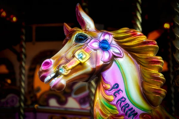 RUDGWICK, SUSSEX / UK - 27 AGOSTO: Primo piano di un cavallo su un Funfa — Foto Stock