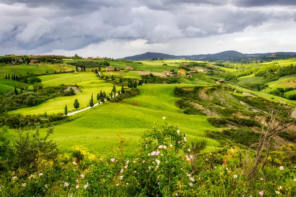 VAL D 'ORCIA, TUSCANY / ITALY - MAY 17: Val d' Orcia in Tuscany on — стоковое фото