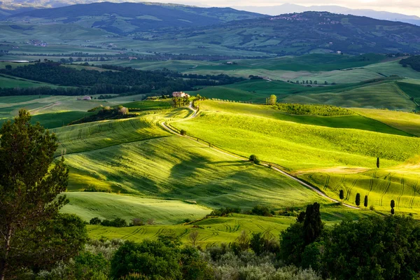 Gladiator Fields in Val d'Orcia — Stock Photo, Image
