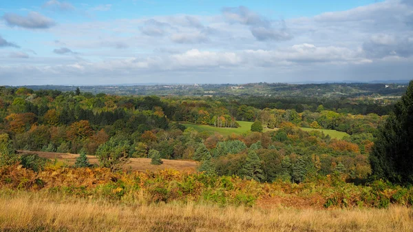 View of the Ashdown Forest in Autumn — Stock Photo, Image