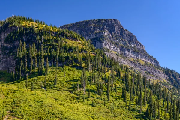 Scenic View of Glacier National Park — Stock Photo, Image